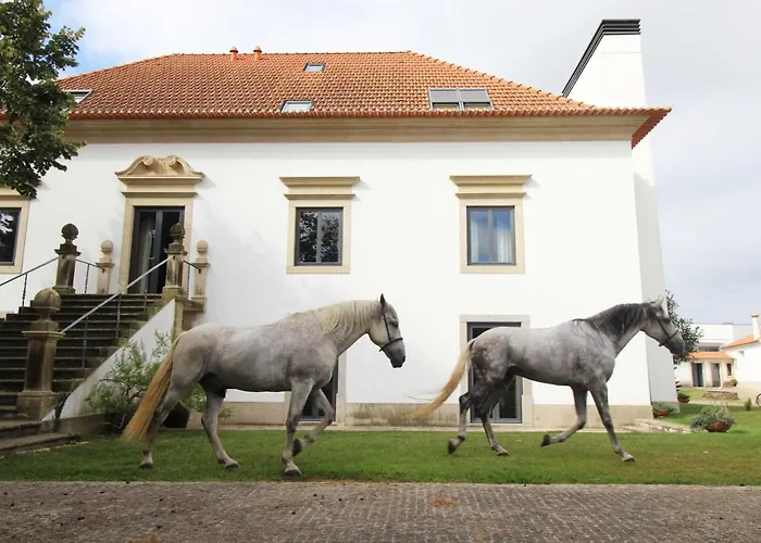 Quinta Da Aldeia De Feriegård Avanca